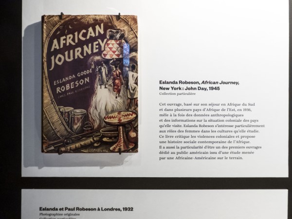 African Journey by Esmelda Goode Robeson